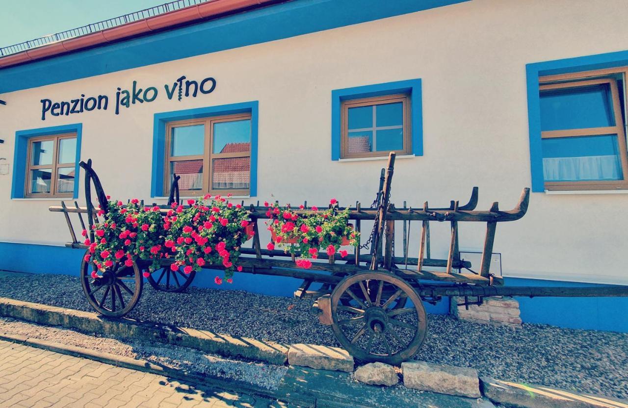 בולהארי Penzion Jako Vino מראה חיצוני תמונה